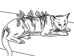 Complex bandage